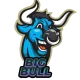 BigBull Logo